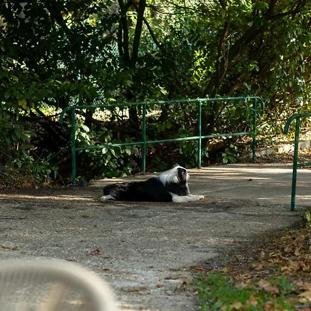 Tiny Pampa - Etang & Bain Nordique 샬레 *