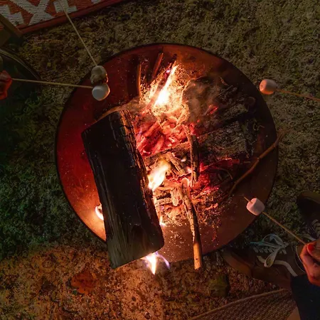 Tiny Pampa - Etang & Bain Nordique 샬레 Etival-les-le-Mans