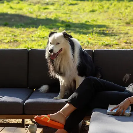 Tiny Pampa - Etang & Bain Nordique 샬레 Etival-les-le-Mans