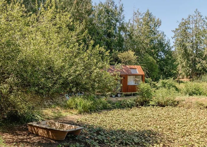 Tiny Pampa - Etang & Bain Nordique Alpesi faház