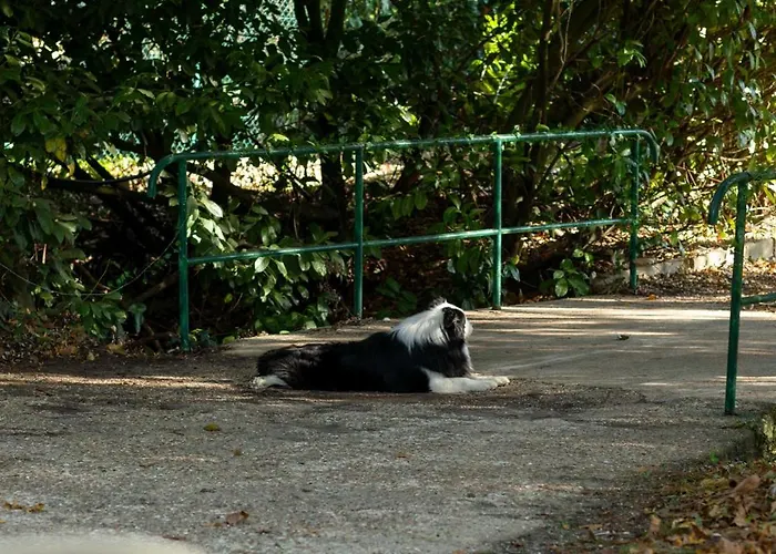 Tiny Pampa - Etang & Bain Nordique Alpesi faház *