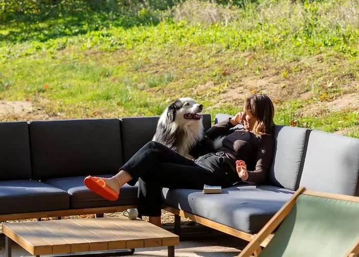 Alpesi faház Tiny Pampa - Etang & Bain Nordique Étival-lès-Le Mans