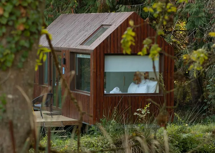 Alpesi faház Tiny Pampa - Etang & Bain Nordique