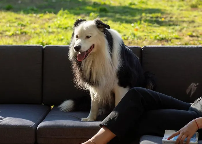 Tiny Pampa - Etang & Bain Nordique Alpesi faház Étival-lès-Le Mans